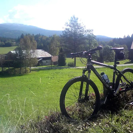 Mit Seeblick Apartamento Waldkirchen