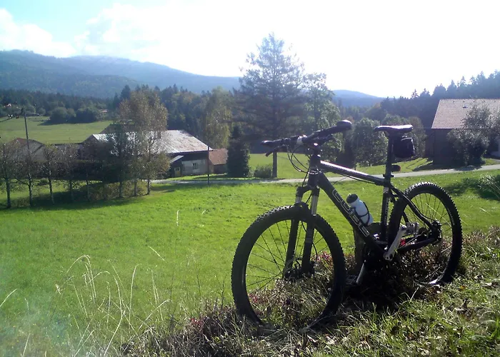 Mit Seeblick Apartment Waldkirchen