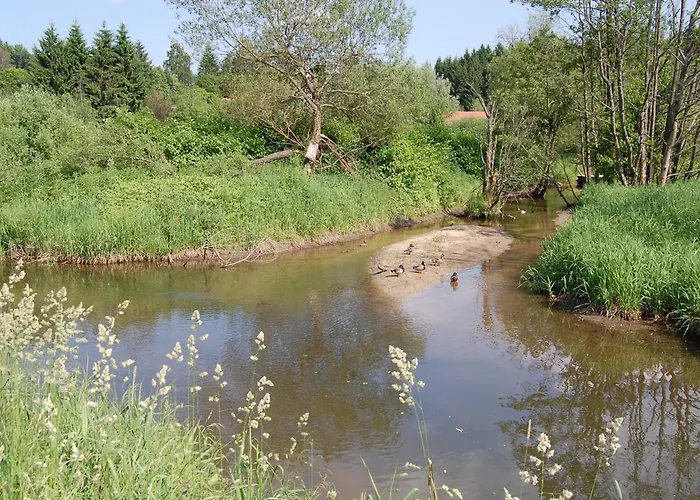 Mit Seeblick Waldkirchen